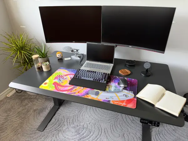 FlexiSpot E7 Flow installé avec double écran, clavier et plantes