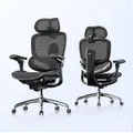 Chaise de bureau SIHOO Doro C300 Pro V2