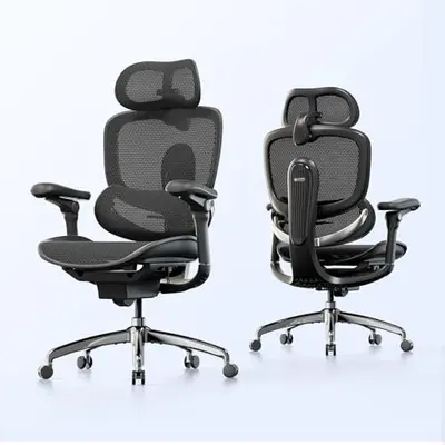Chaise de bureau SIHOO Doro C300 Pro V2