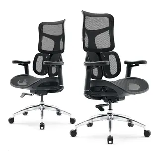 Chaise de bureau SIHOO Doro S100