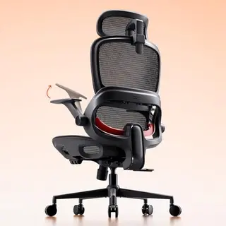 Chaise de bureau SIHOO B100
