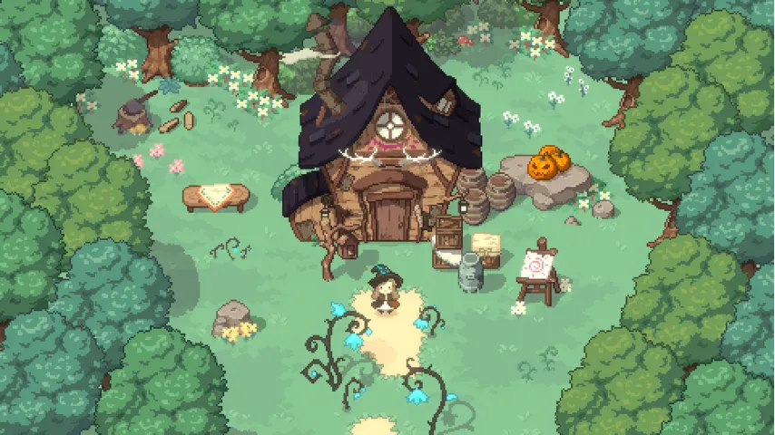 Little Witch in the Woods