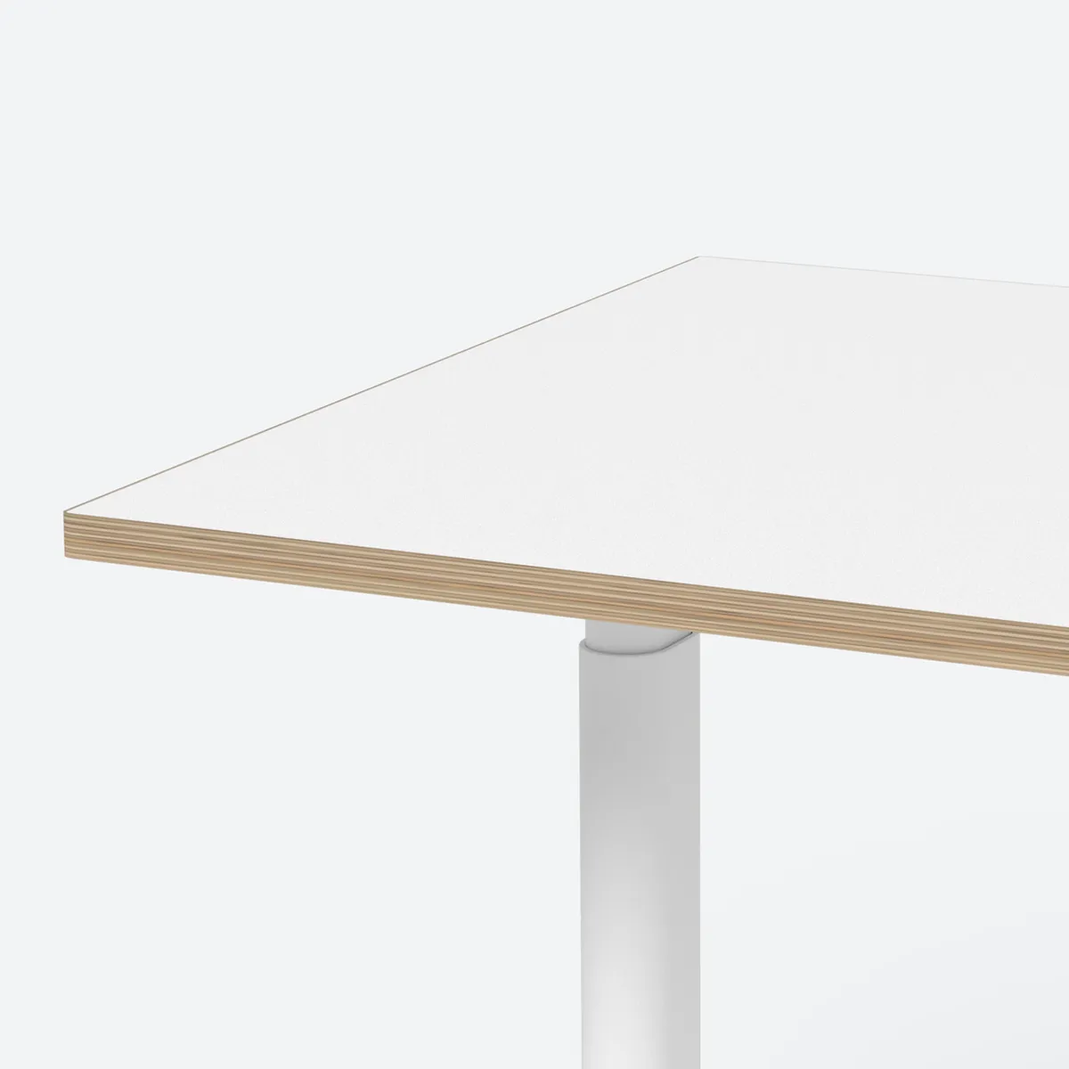ofinto Rise vert blanc