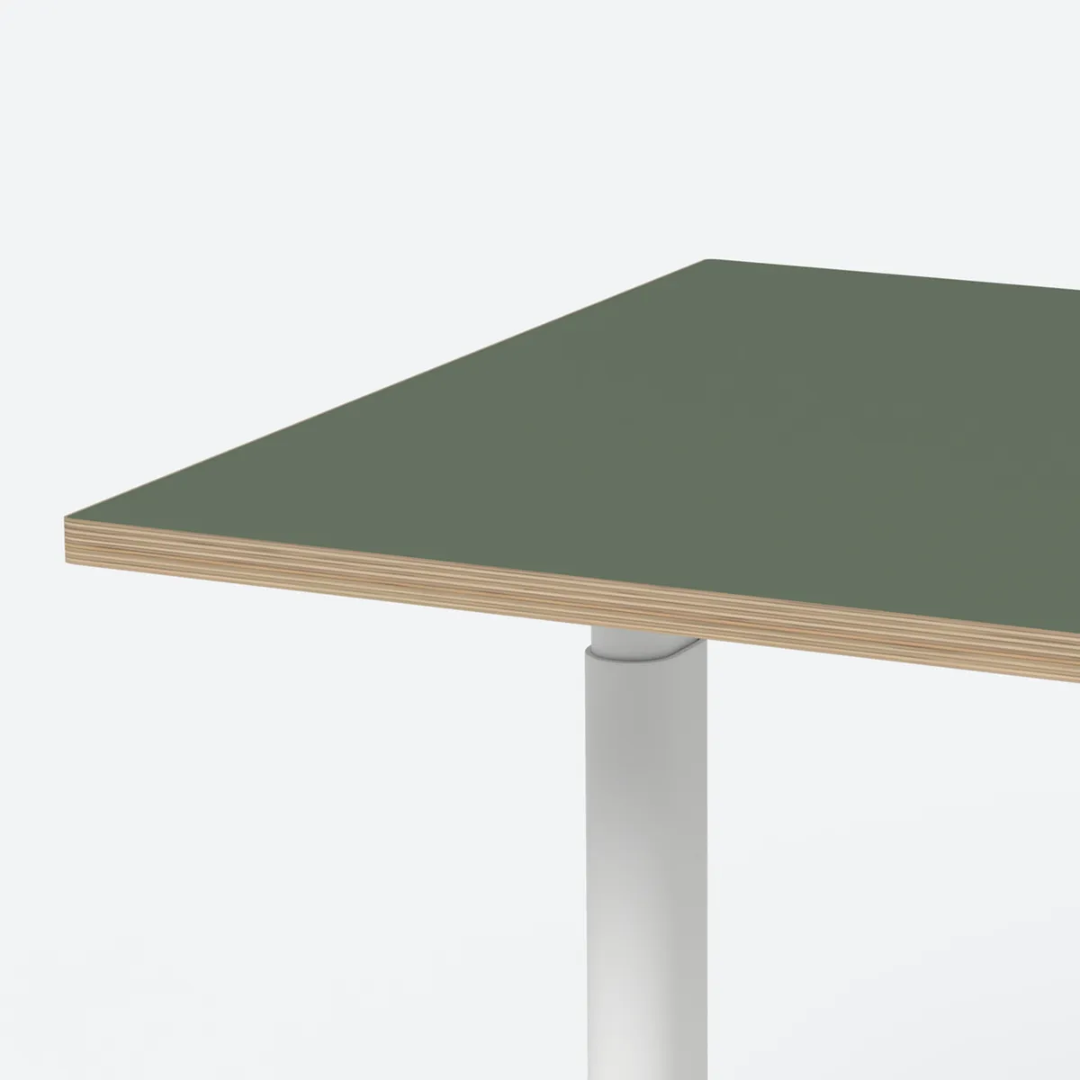 ofinto Rise vert olive
