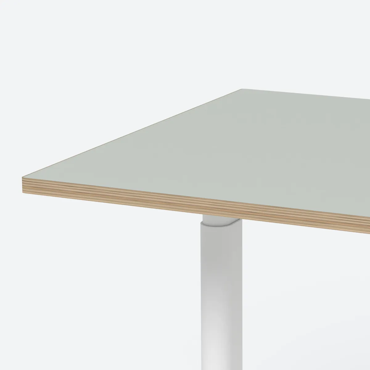 ofinto Rise vert pastel