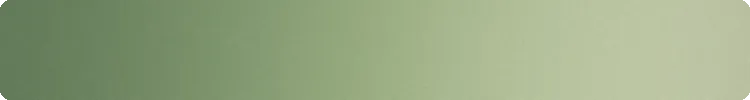 Bandeau de couleur vert sauge