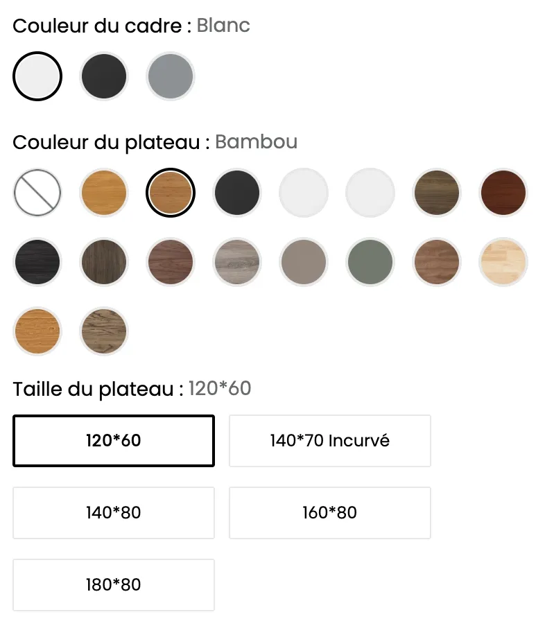 Couleurs Flexispot bureau assis debout